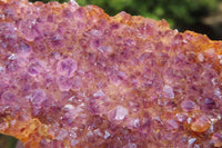 Natural Amethystos Amethyst Plates x 6 From Kwaggafontein, South Africa