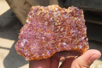 Natural Amethystos Amethyst Plates x 6 From Kwaggafontein, South Africa