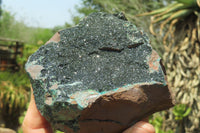 Natural Libethenite Crystals On Dolomite Matrix Specimens x 2 From Shituru, Congo