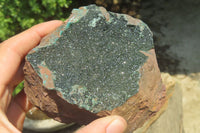 Natural Libethenite Crystals On Dolomite Matrix Specimens x 2 From Shituru, Congo