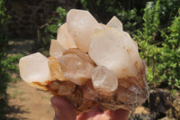 Natural Mixed Quartz Clusters x 3 From Madagascar