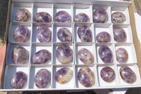 Polished Chevron Amethyst Palm Stones x 35 From Madagascar