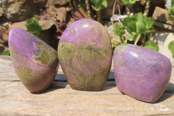 Polished Stichtite Standing Free Forms x 6 From Barberton, South Africa