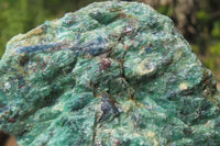 Natural Kyanite In Fuchsite Matrix Specimens x 12 From Zimbabwe