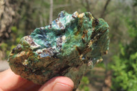 Natural Kyanite In Fuchsite Matrix Specimens x 12 From Zimbabwe