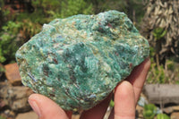 Natural Kyanite In Fuchsite Matrix Specimens x 12 From Zimbabwe