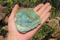 Natural Kyanite In Fuchsite Matrix Specimens x 12 From Zimbabwe