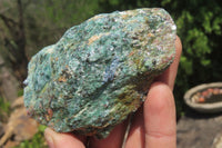 Natural Kyanite In Fuchsite Matrix Specimens x 12 From Zimbabwe