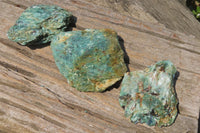 Natural Kyanite In Fuchsite Matrix Specimens x 12 From Zimbabwe