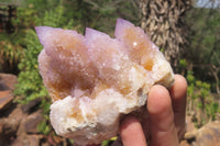 Natural Ametrine Spirit Quartz Clusters x 2 From Boekenhouthoek, South Africa