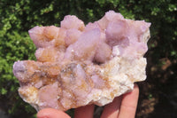 Natural Ametrine Spirit Quartz Clusters x 2 From Boekenhouthoek, South Africa