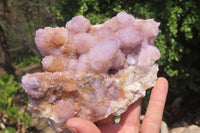 Natural Ametrine Spirit Quartz Clusters x 2 From Boekenhouthoek, South Africa