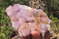 Natural Ametrine Spirit Quartz Clusters x 2 From Boekenhouthoek, South Africa