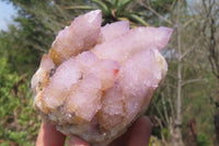 Natural Ametrine Spirit Quartz Clusters x 2 From Boekenhouthoek, South Africa