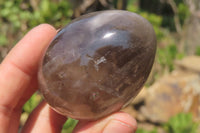 Polished Smokey Quartz Gemstone Eggs x 6 From Madagascar