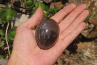 Polished Smokey Quartz Gemstone Eggs x 6 From Madagascar