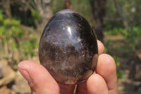 Polished Smokey Quartz Gemstone Eggs x 6 From Madagascar