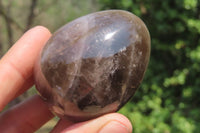 Polished Smokey Quartz Gemstone Eggs x 6 From Madagascar