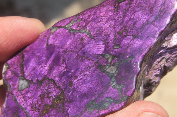 Polished On One Side Metallic Purpurite Specimens x 6 From Namibia