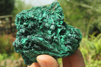 Natural Silky Malachite Specimens x 6 From Kasompe, Congo