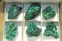 Natural Silky Malachite Specimens x 6 From Kasompe, Congo