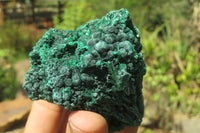 Natural Silky Malachite Specimens x 6 From Kasompe, Congo