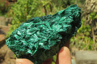 Natural Silky Malachite Specimens x 6 From Kasompe, Congo