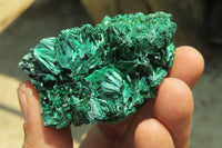 Natural Silky Malachite Specimens x 6 From Kasompe, Congo