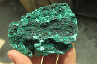 Natural Silky Malachite Specimens x 6 From Kasompe, Congo