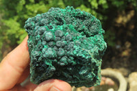 Natural Silky Malachite Specimens x 6 From Kasompe, Congo