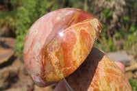 Polished Polychrome Jasper Mushrooms x 4 From Madagascar