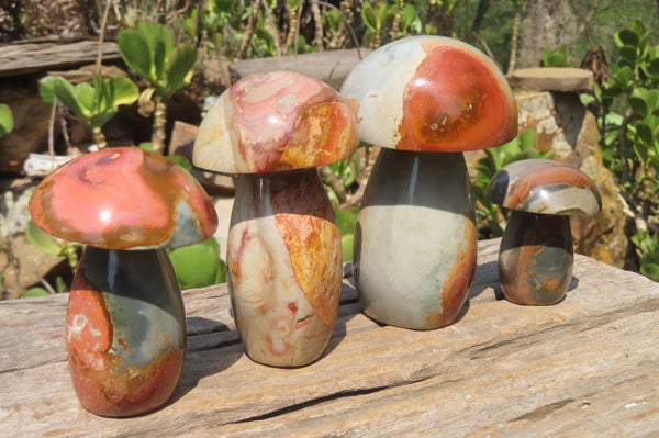 Polished Polychrome Jasper Mushrooms x 4 From Madagascar