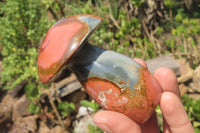 Polished Polychrome Jasper Mushrooms x 4 From Madagascar