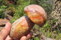 Polished Polychrome Jasper Mushrooms x 4 From Madagascar