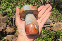 Polished Polychrome Jasper Mushrooms x 4 From Madagascar