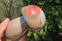 Polished Polychrome Jasper Mushrooms x 4 From Madagascar