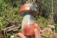 Polished Polychrome Jasper Mushrooms x 4 From Madagascar