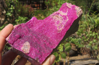 Natural Salrose Cobaltion Dolomite Specimens x 3 From Kakanda, Congo