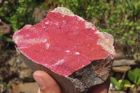 Natural Salrose Cobaltion Dolomite Specimens x 3 From Kakanda, Congo