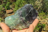 Natural Watermelon Fluorite Cobbed Specimens x 7 From Uis, Namibia