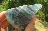 Natural Watermelon Fluorite Cobbed Specimens x 7 From Uis, Namibia