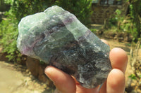 Natural Watermelon Fluorite Cobbed Specimens x 7 From Uis, Namibia