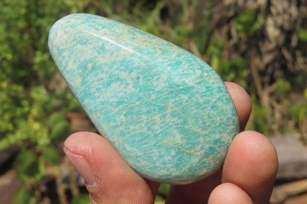 Polished Amazonite Free Forms x 24 From Zimbabwe