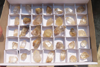 Natural Citrine Crystals x 35 From Luena, Congo