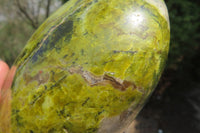 Polished Green Opal Standing Free Form x 1 From Antsirabe, Madagascar