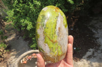 Polished Green Opal Standing Free Form x 1 From Antsirabe, Madagascar