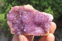 Natural Amethystos Amethyst Specimens x 7 From Kwaggafontein, South Africa