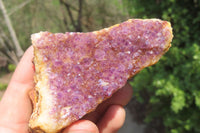 Natural Amethystos Amethyst Specimens x 7 From Kwaggafontein, South Africa