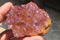 Natural Amethystos Amethyst Specimens x 7 From Kwaggafontein, South Africa