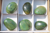 Polished Green Verdite Palm Stones x 6 From Zimbabwe